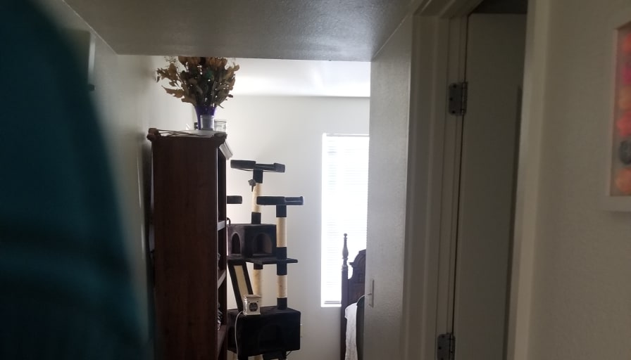 Linda's room