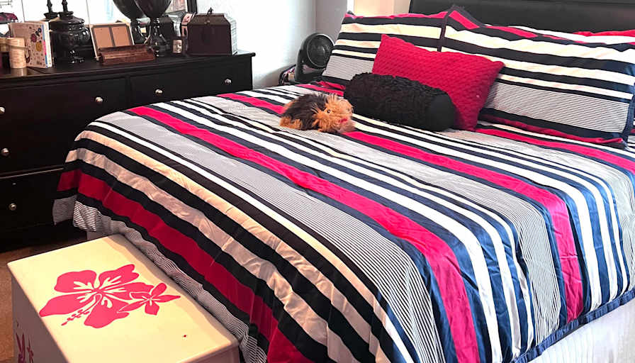 Stephanie's room
