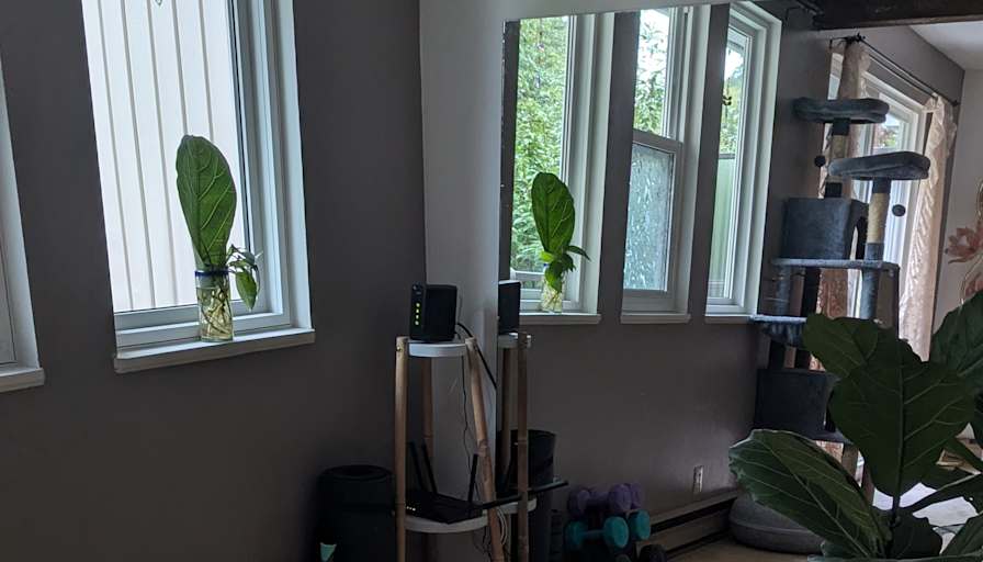 Ksenya's room