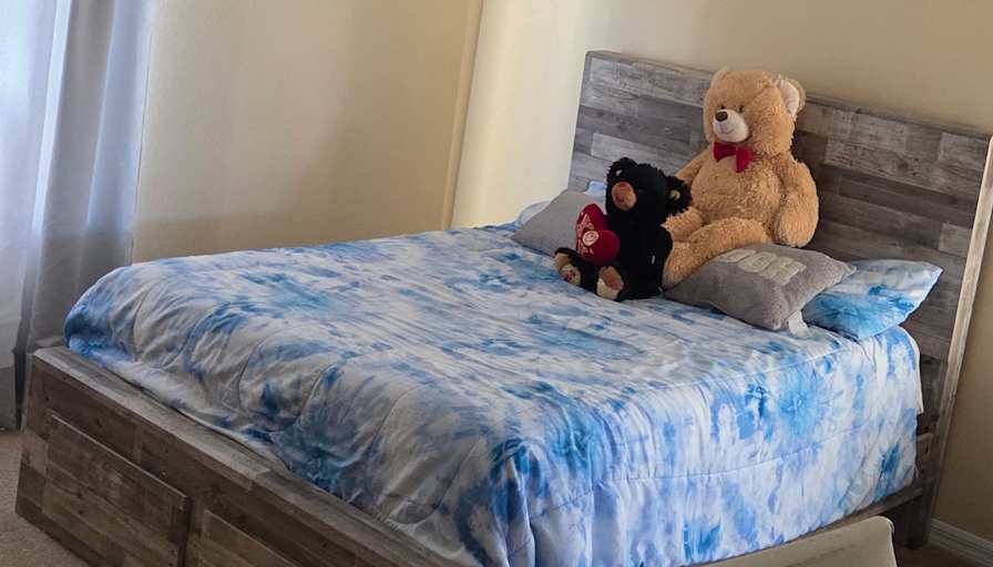 Carlyle's room