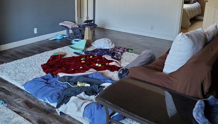 Tasha's room