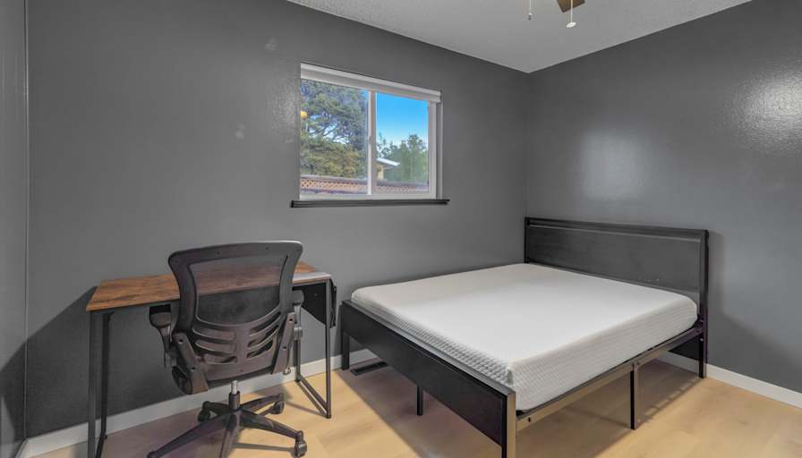 Zach's room