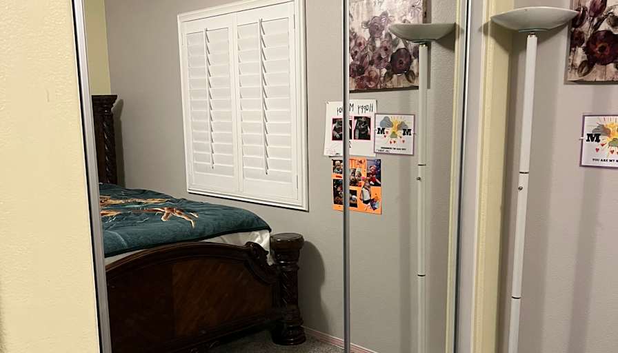 Zinaida's room