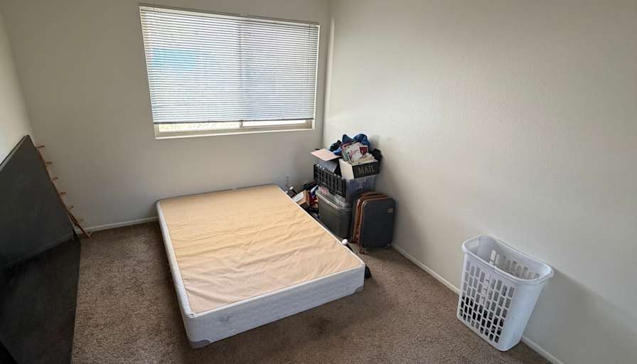 Vanessa's room