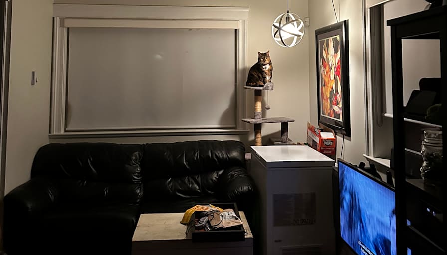 Constandina's room