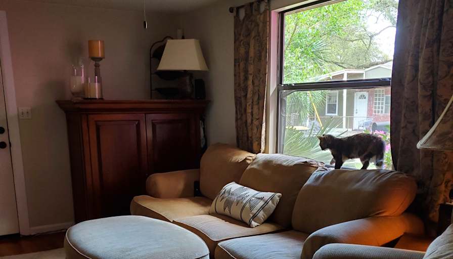 Jebbie's room