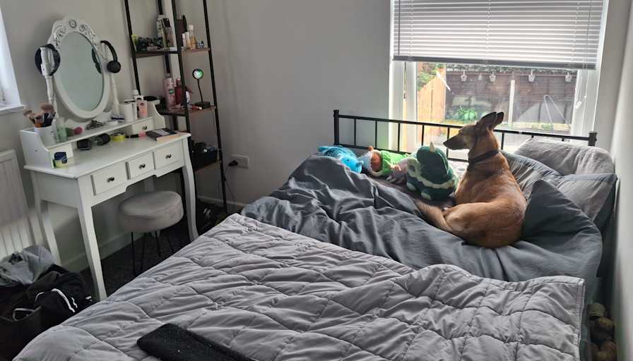 Shannon's room