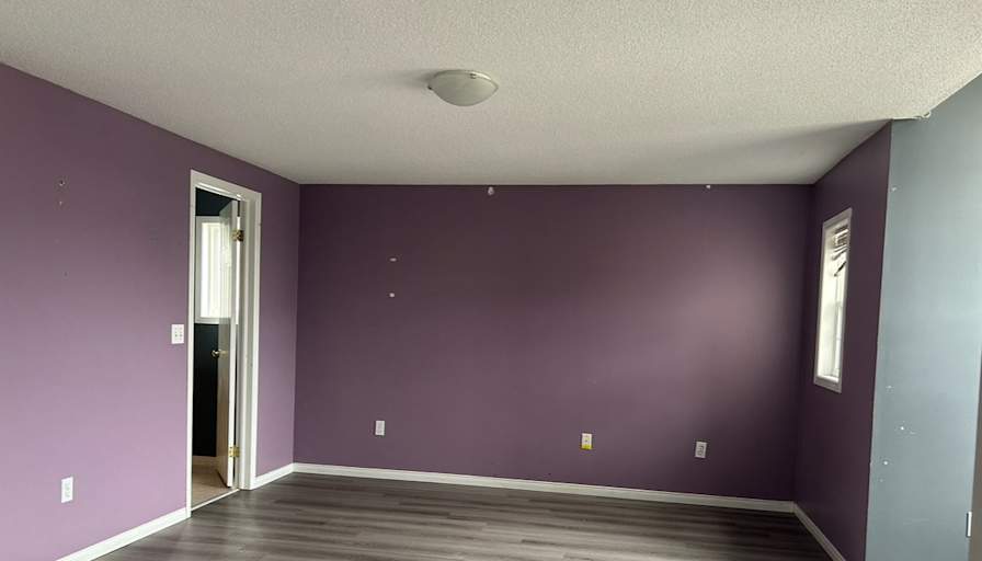 Saba Eskandary's room