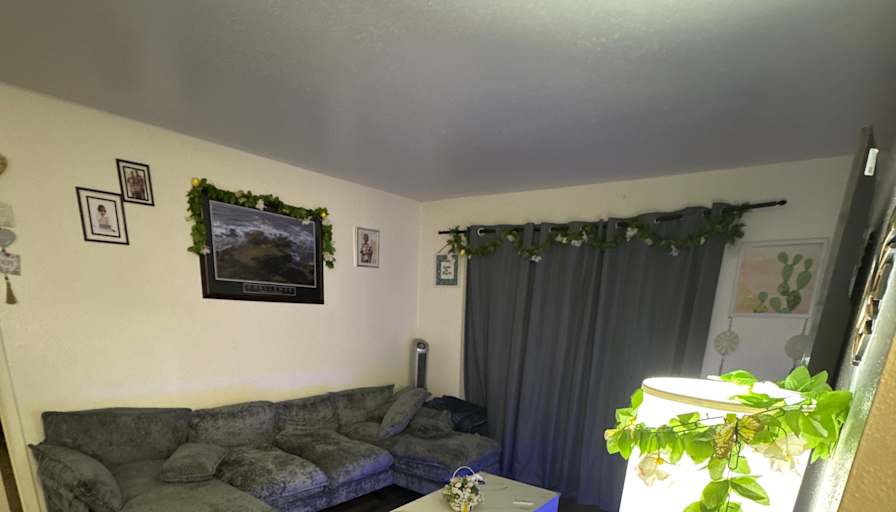 Oluwatosin Saka's room