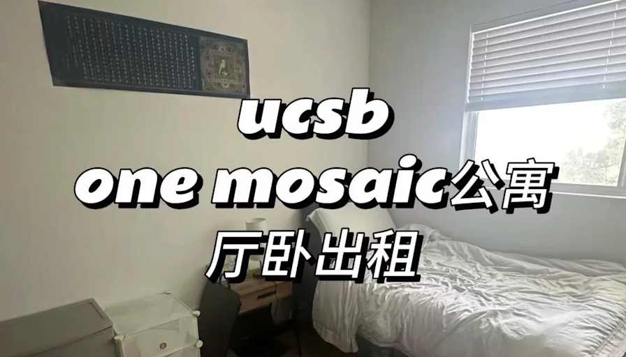 Viola Wang's room
