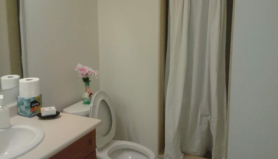 Shaheen's room