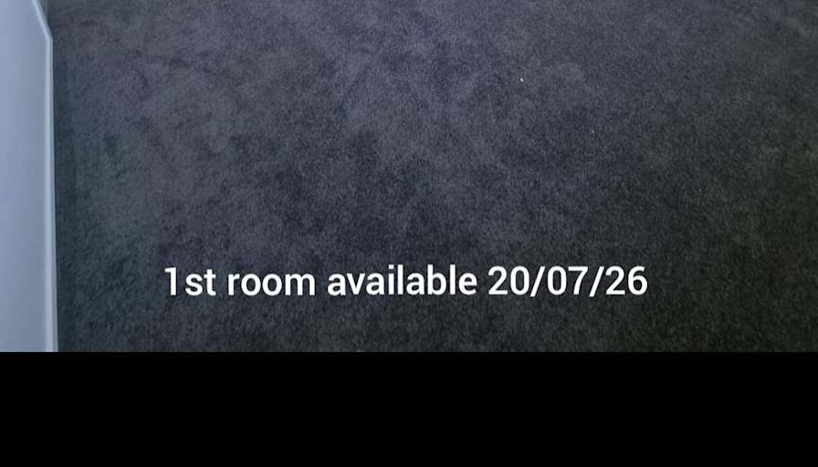 sophie's room