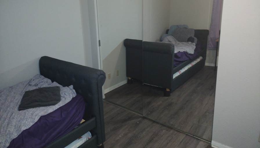 Shawn's room