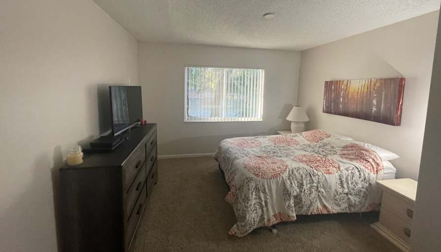 Dave's room