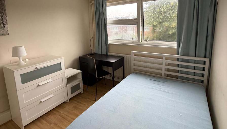 Mister's room