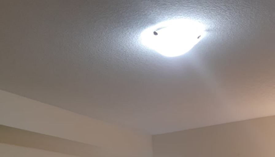 Shaheen's room