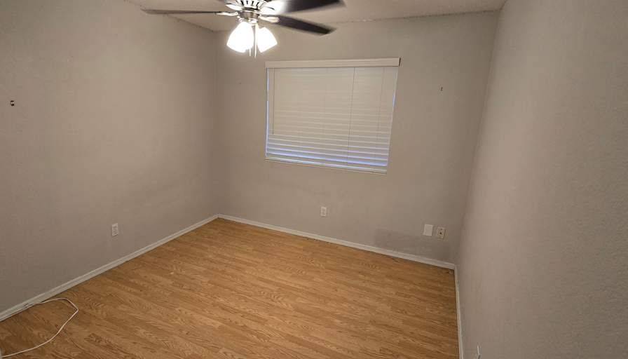 Mike Dewey's room
