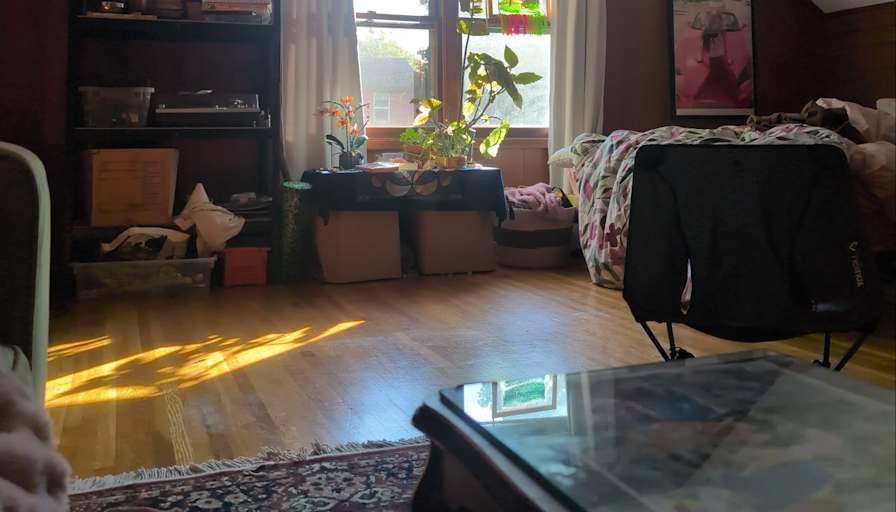 David's room