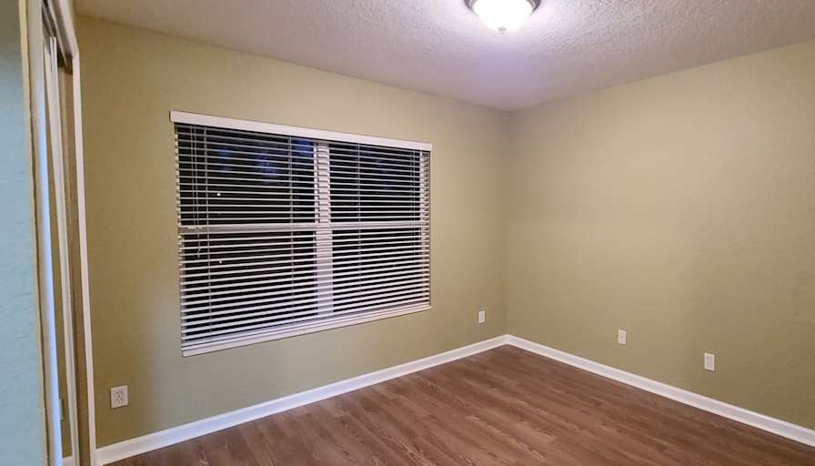 Carolina's room