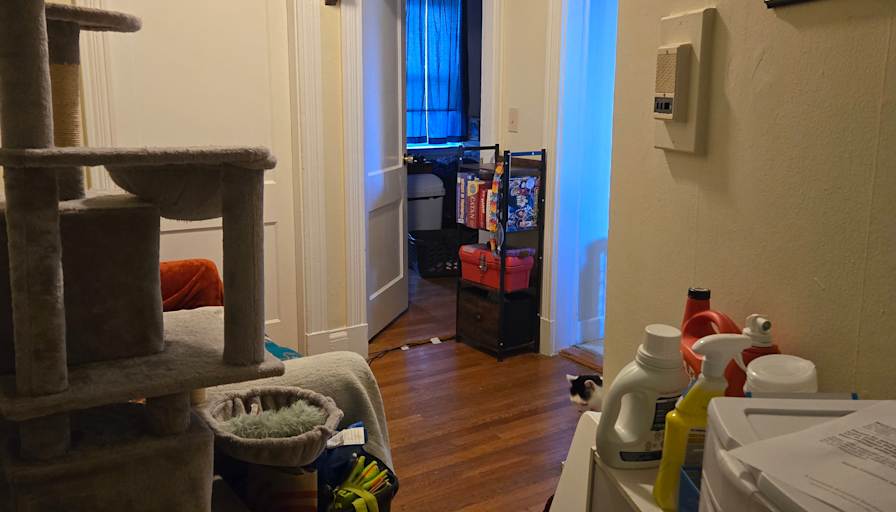 Ryan's room