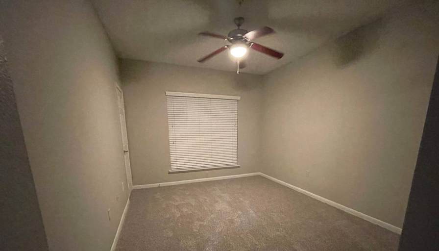 Selia's room