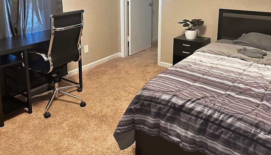 Ari's room