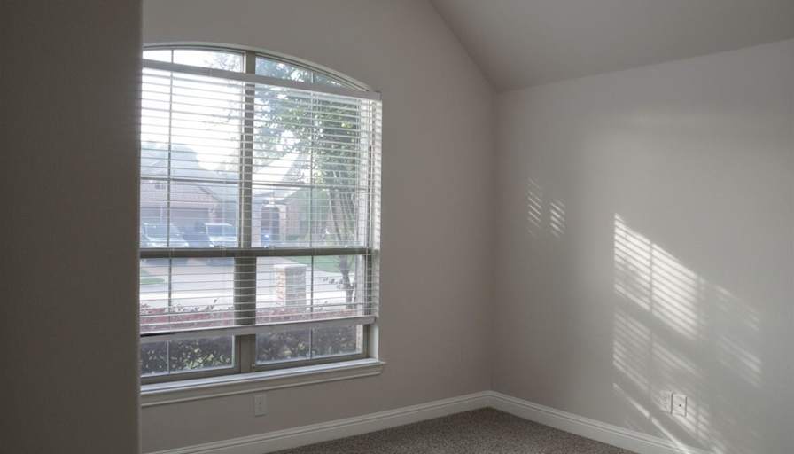 Vidya's room