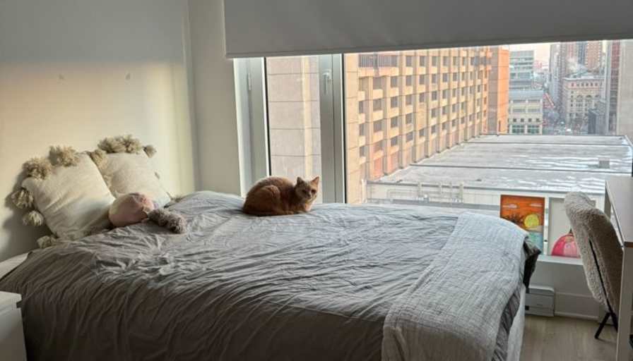 Ambre Ferlaud's room