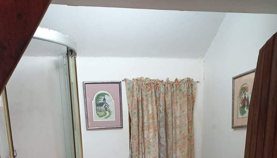 Willows on Bartlett's room