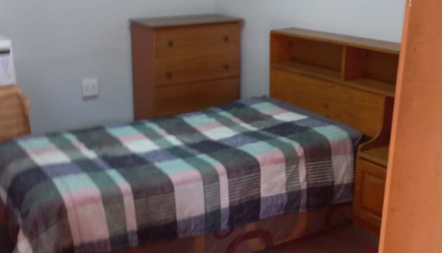 Willows on Bartlett's room