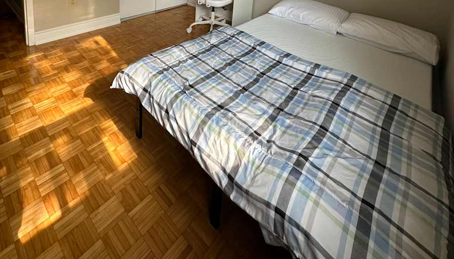 Niloo's room