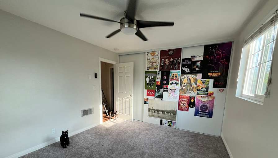 Naoise's room