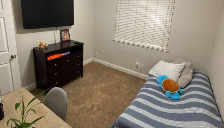 Lucky's room