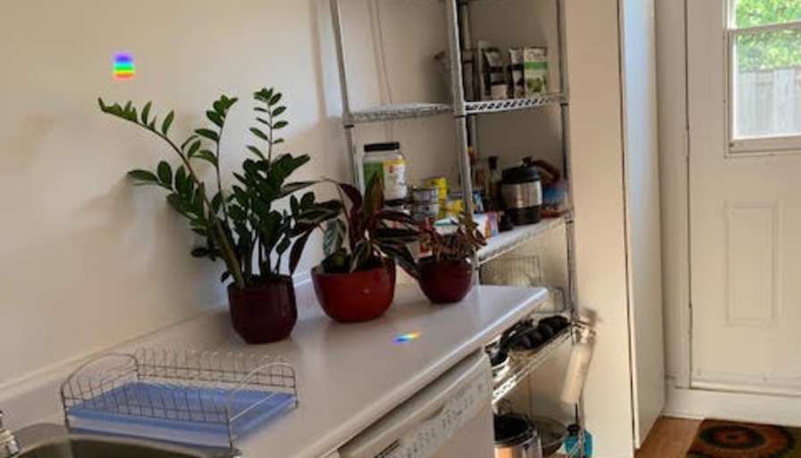 Vèra's room