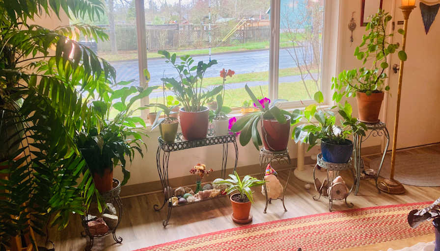 Osher's room