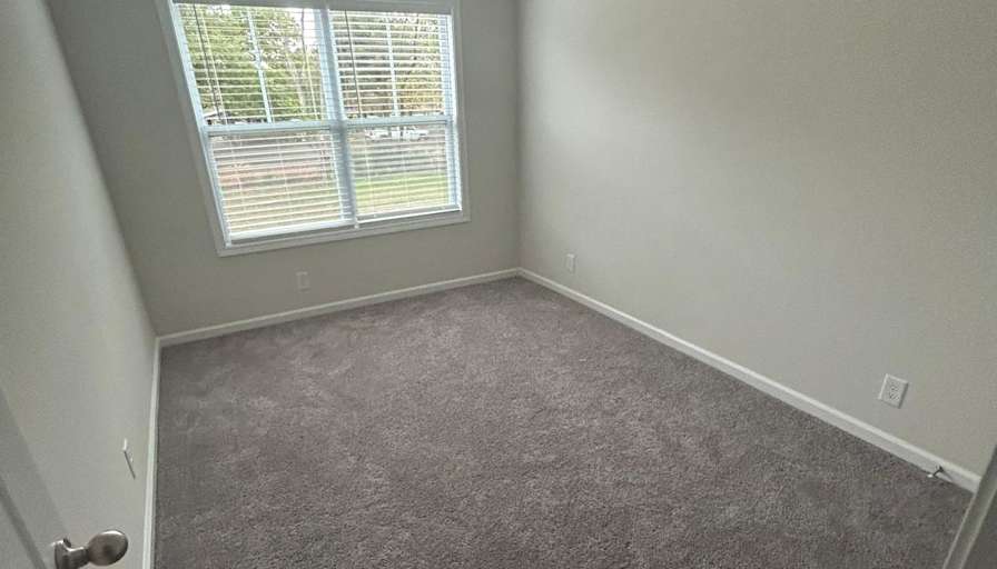 Daniela's room