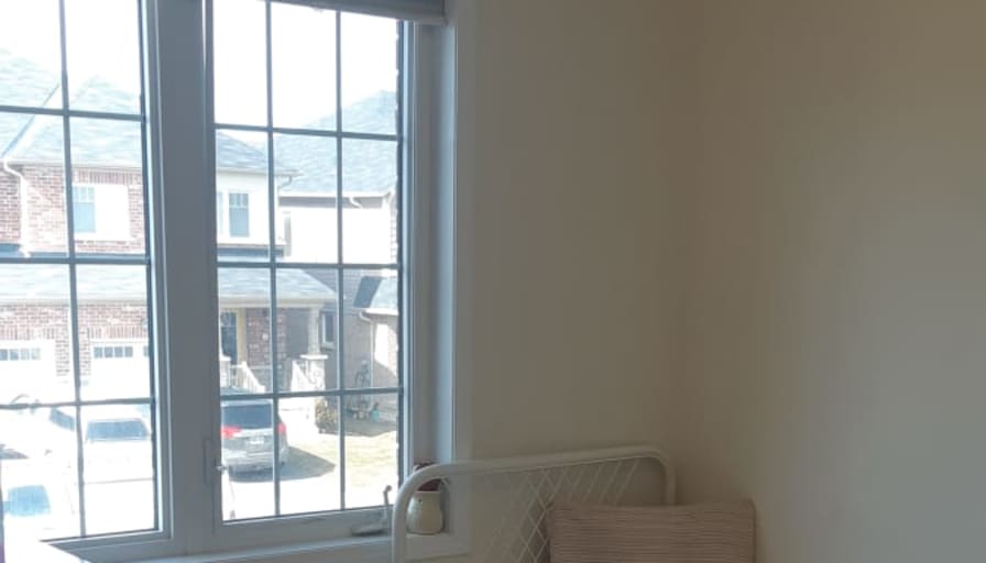 Shaheen's room