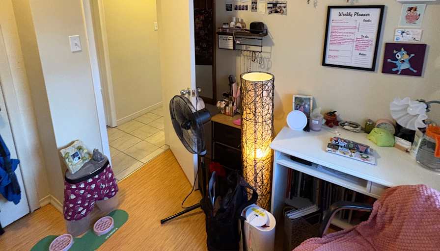 Alexa's room