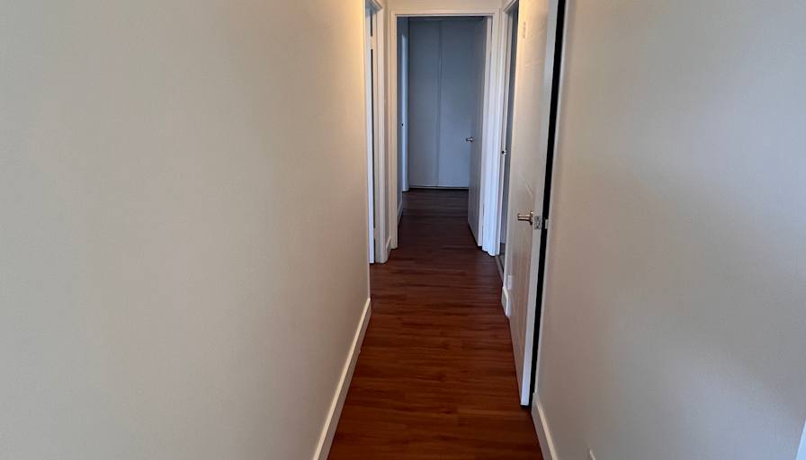 Salman Rashid's room