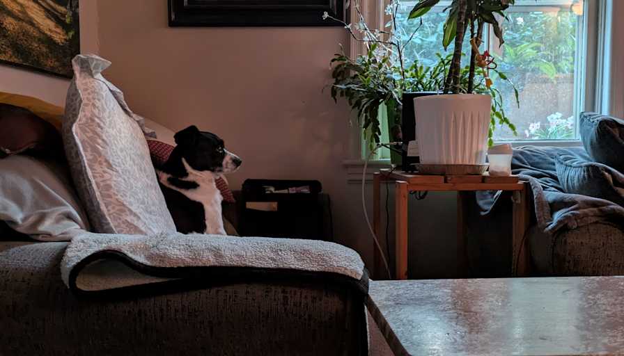 Kim Gerrow's room