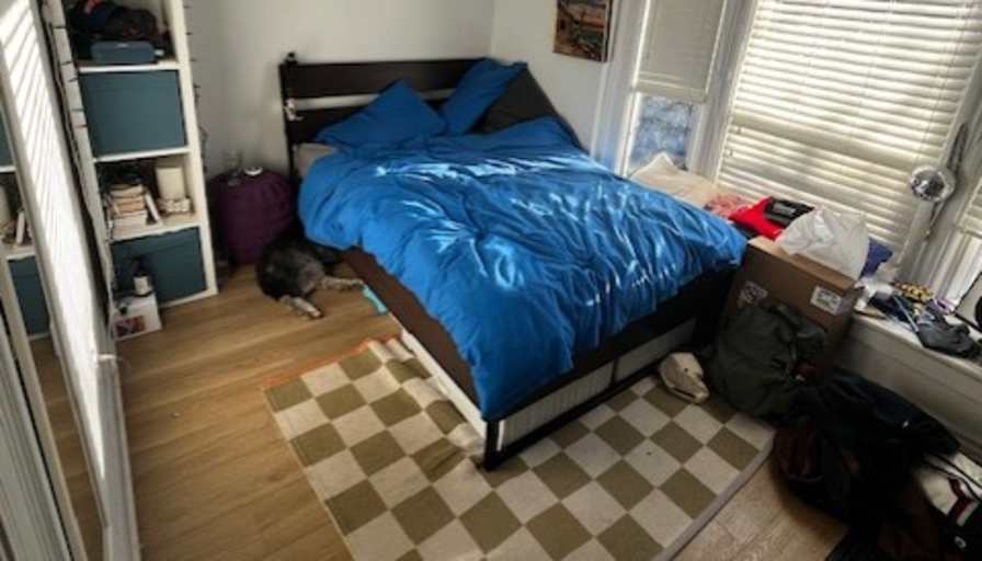 Daniel Neamtu's room