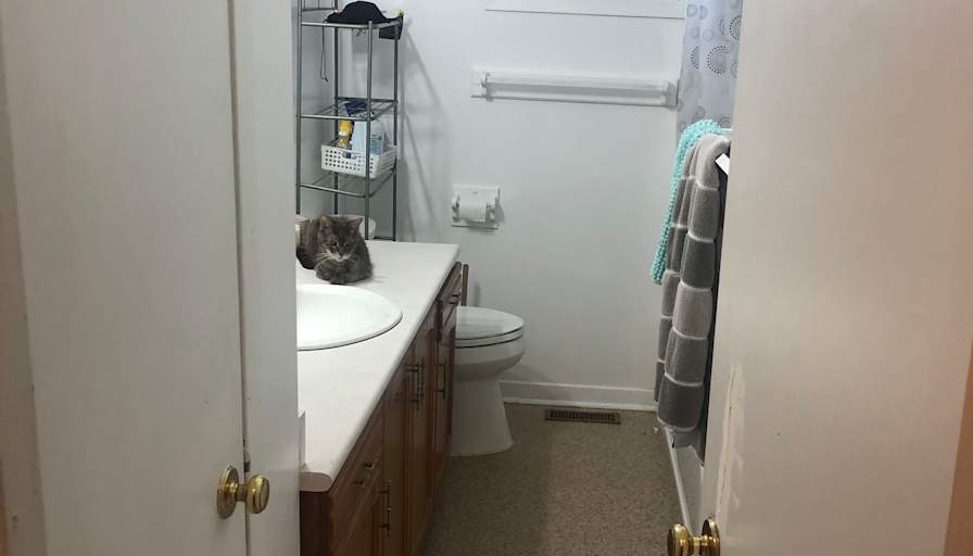 Jenn's room