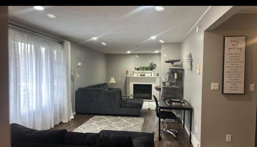 Shelly's room
