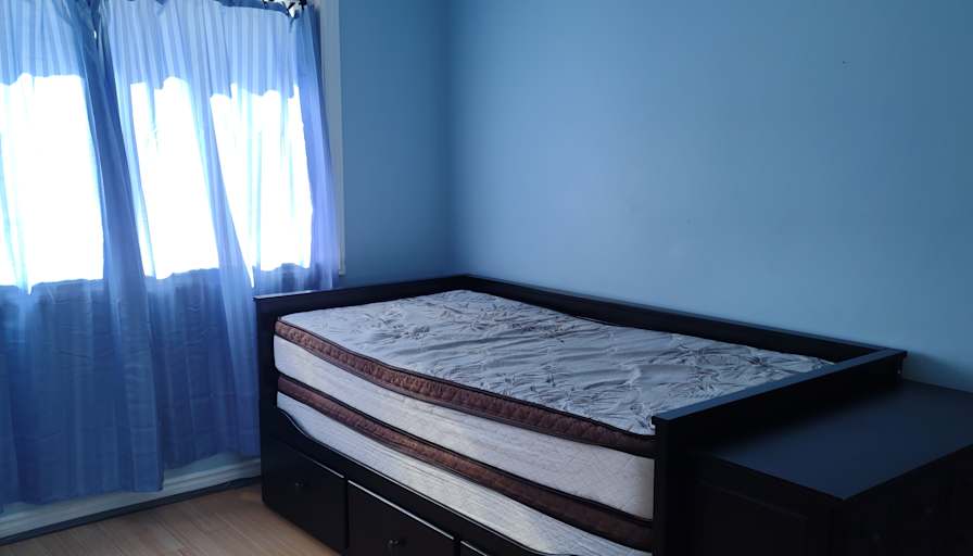 alexis and Nawal's room