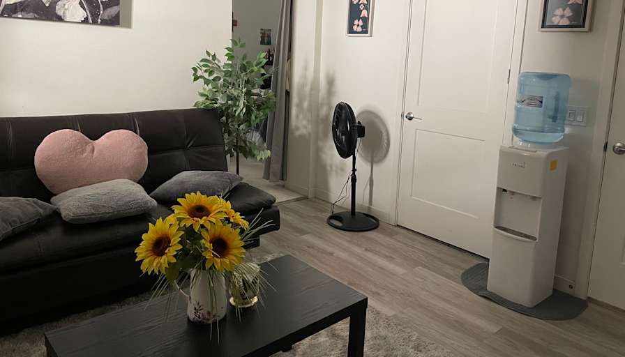 May's room