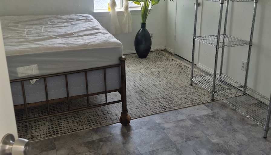 Mary's room