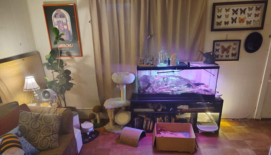 D's room