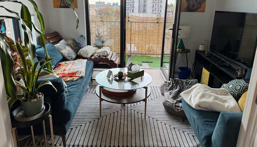 Pierre's room