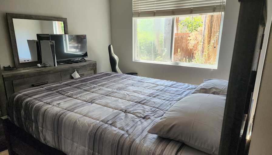paul lynch's room