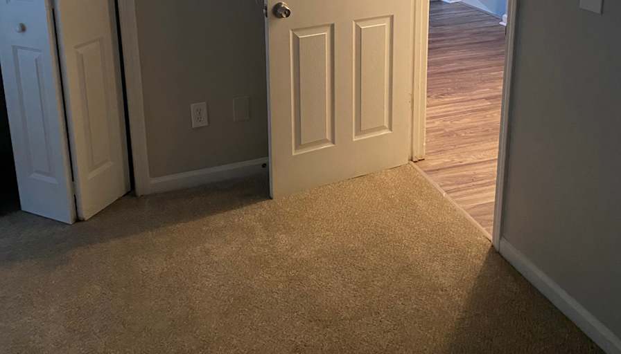 Sariah's room